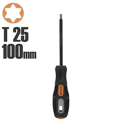 Csavarhz 100mm torx T25 krm-van. Handy Tools 10689 @