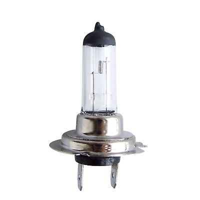 Izz 12V H7 55W+50% PX26D VECTA AM1869