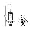 Izz 12V H1  55W P14.5s Kobalt UV 1db Alpin81500      @