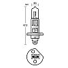 Izz 12V H1  55W Xenon 2db/bliszt.Lampa58166          @