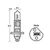 Izz 24V H1  70W P14,5s Trifa1656 (nmet)             @