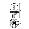 Izz 24V R2 50/55W P45t Trifa0503 (nmet)             @