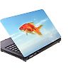 Laptop, Notebook matrica
Hal max.275x365mm-ig 89290H