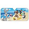 Napfnyvd szlvdhz
alu-s Looney Tunes 60x130
66216